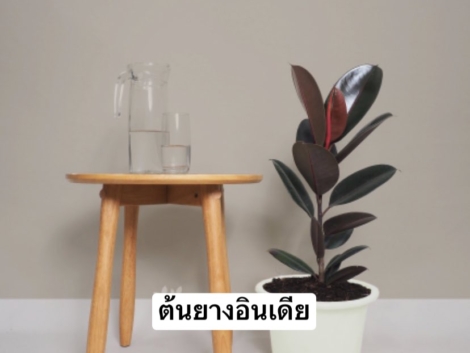 3AD1C7AB-D10E-4B2E-907D-62AED97089E1