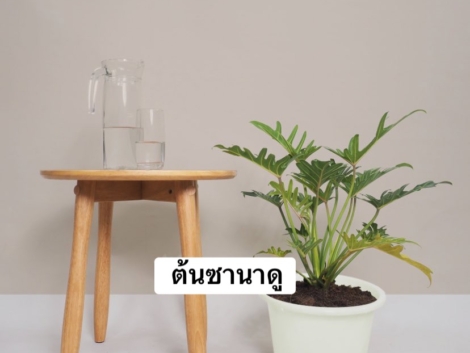 62E596EA-5BF9-416A-841B-9487768CF10C