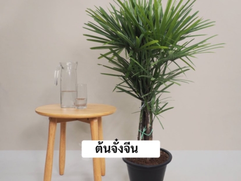 8ABA8129-397E-4E55-BC85-6DA283970E2F