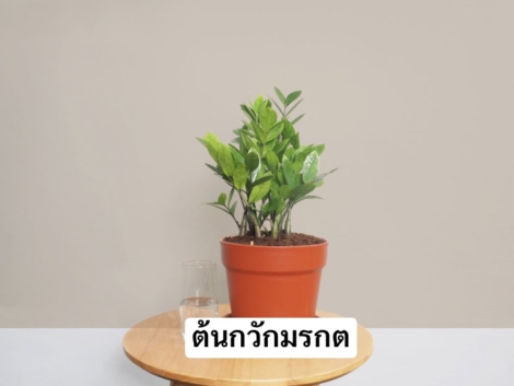 CBA2E42A-D0F9-4D98-A5C0-5B7FBCDE1C2E